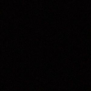 Meet your Posher, Tyson